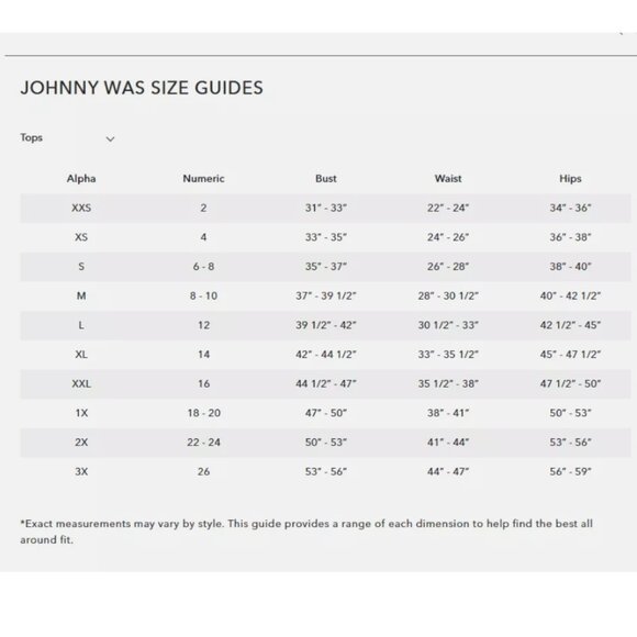 Johnny Was Embroidered Velvet Kimono Cardigan XXL 1X 2X [READ MEASUREMENTS] Silk - Picture 9 of 9